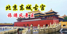 免费观看操屄小视频中国北京-东城古宫旅游风景区